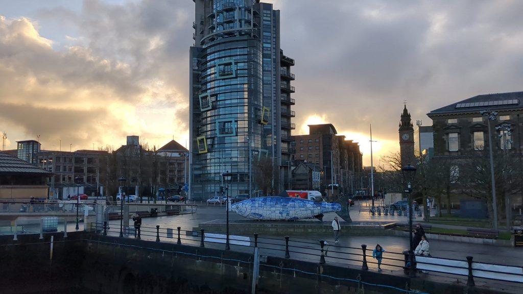 Wisdom Salmon, Belfast