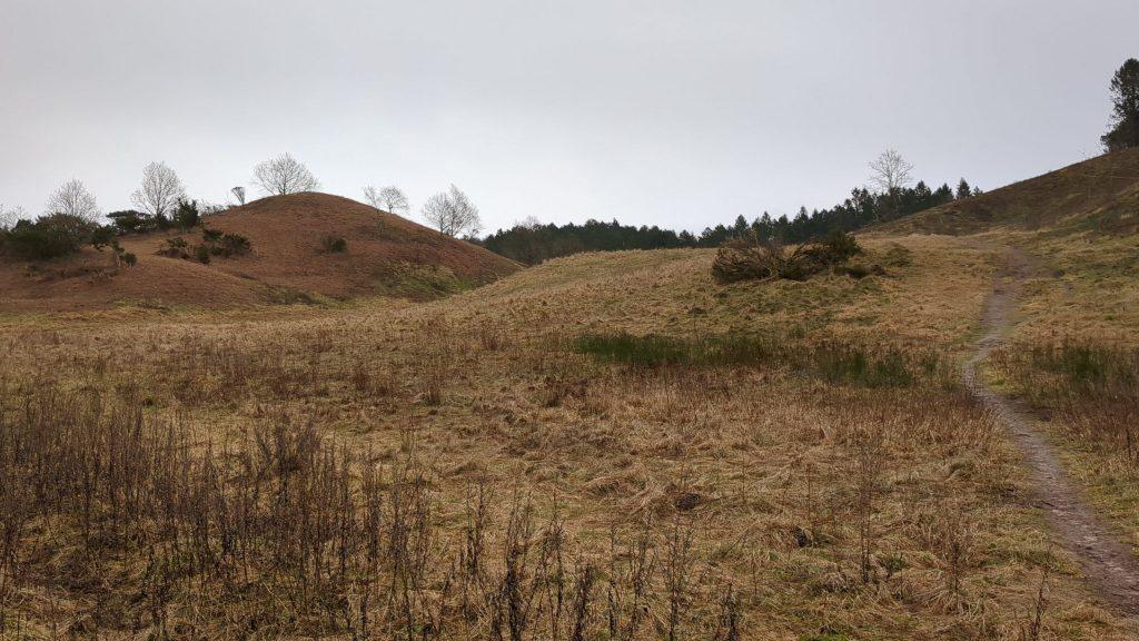 Mols Bjerge NP, Knebel