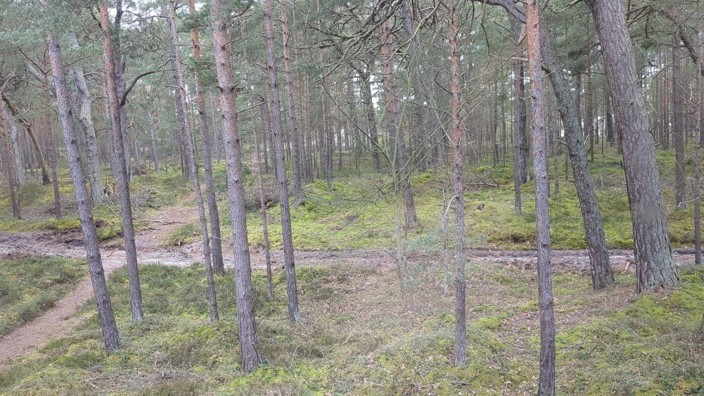 Hel Peninsula, Poland