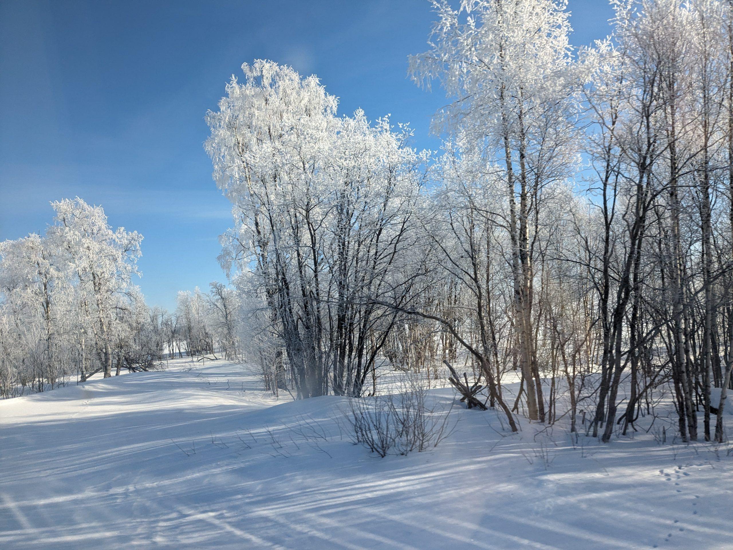 Lire la suite à propos de l’article Day 34