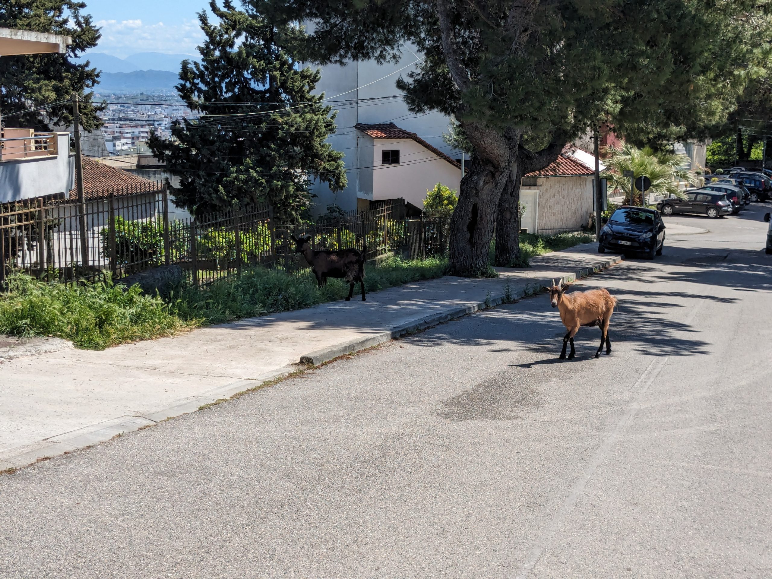 Lire la suite à propos de l’article Day 86