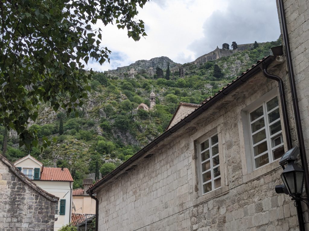 Kotor