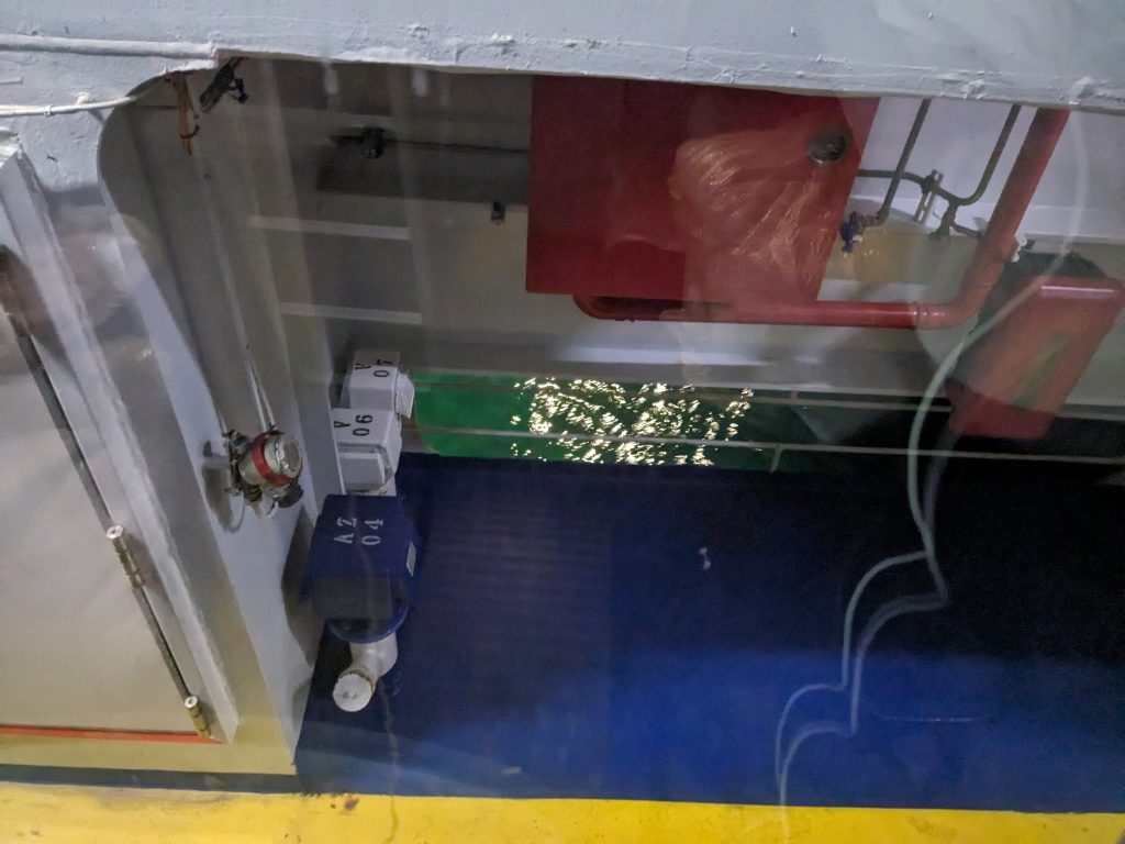 Train on the boat, Italy