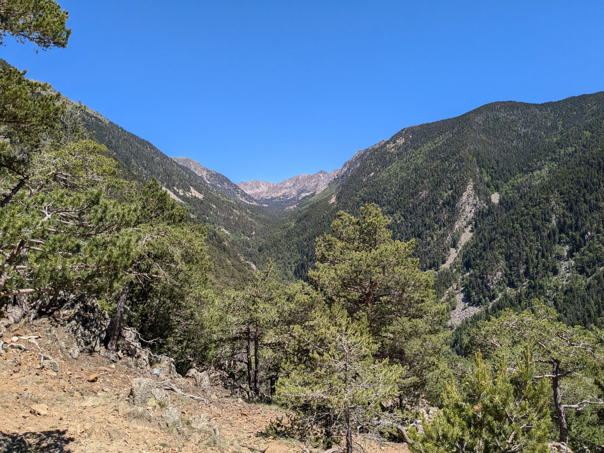 Lire la suite à propos de l’article Day 143