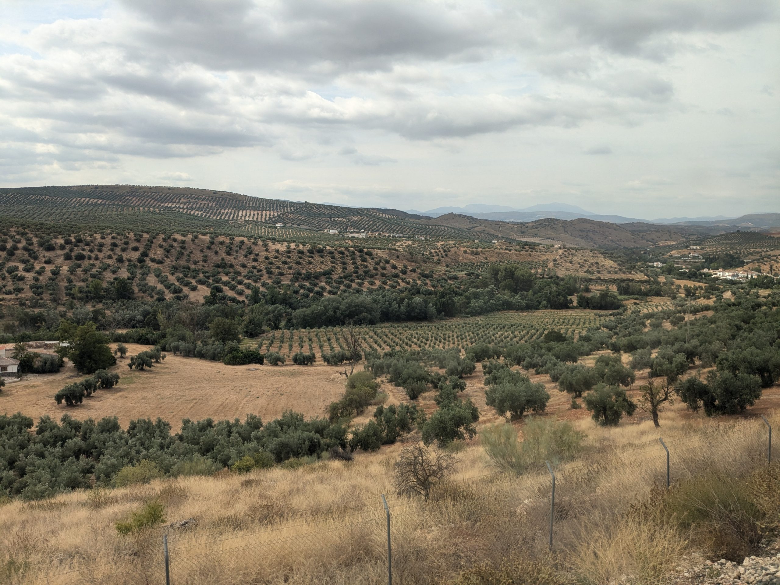 Lire la suite à propos de l’article Day 147