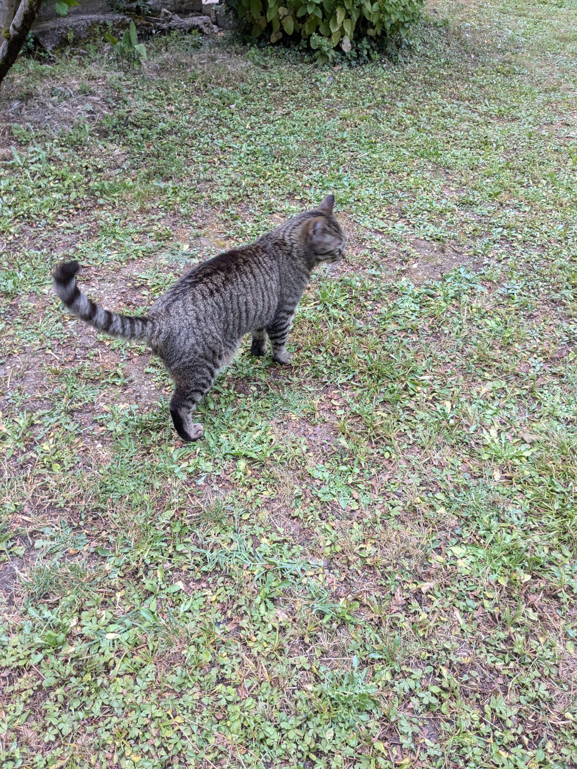 Lire la suite à propos de l’article Day 156