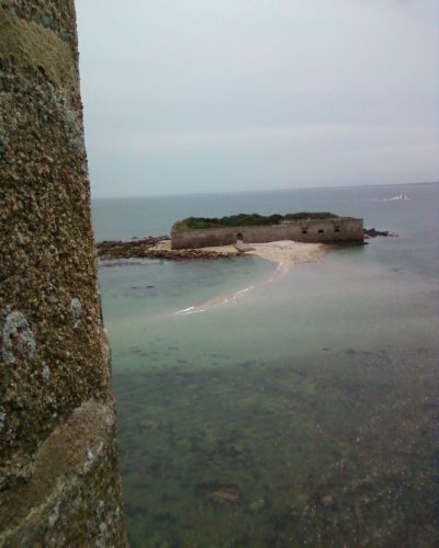 France 2011 - Tatihou