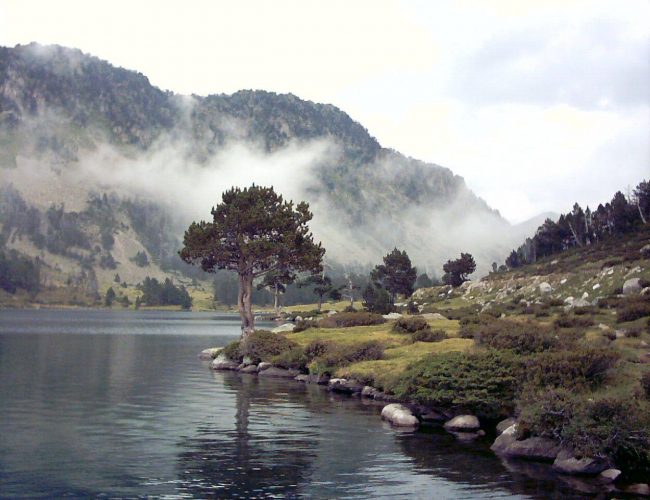 France 2004 - Néouvielle lake